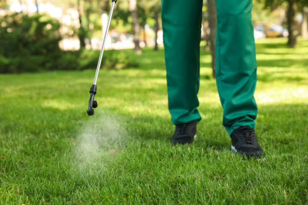 Best Best Pest Control Companies  in Andrews, NC